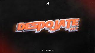 DESPOJATE VOL 2 (Remix) - DJ Cu3rvo - Hernan y La Champions Liga x BM x Callejero Fino