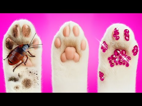 Meine KATZE verwandelte sich in einen MENSCHEN? 😱 Wird das mein normales Leben völlig ruinieren?