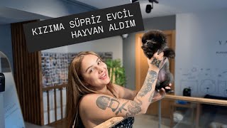 KIZIMA SÜPRİZ EVCİL HAYVAN ALDIM İSMİ NE OLSUN .?