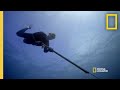Underwater Adventure and Teamwork