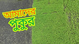 পাখির চোখে আমাদের পুকুর Visiting my Pond