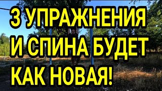 3 лучших в мире упражнения для спины!