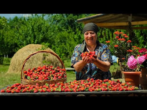 Nature’s Candy – Harvesting Strawberries in the Village Garden 🍓🧺
