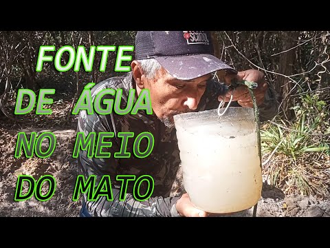 FONTE DE ÁGUA NO MEIO DO MATO