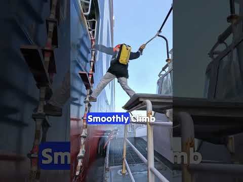 Pilot boarding  #sealife #ship #lifeatsea #seaman