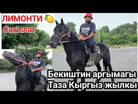 Бекиштин Лимонтиси чыкты сатылат тел:+996778298939