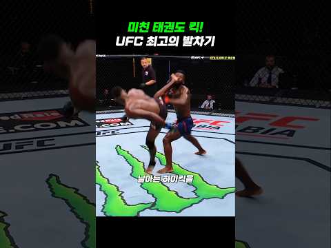 UFC 역대 최고의 태권도 발차기 KO!