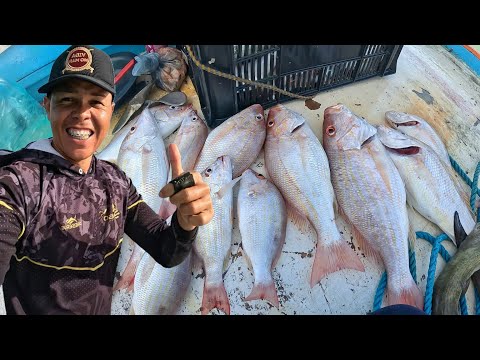 PESCARIA DE ARIACO NAS MARAMBAIA - PESCA EM ALTO MAR - (CATCH AND COOK)