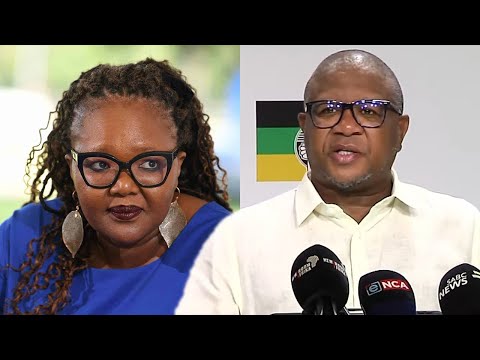 Fikile Mbalula To Minister Gwarube “If You Don’t Implement You Will Be Fired”