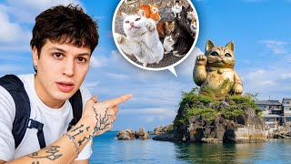 Exploré la Isla Abandonada con más Gatos del Mundo