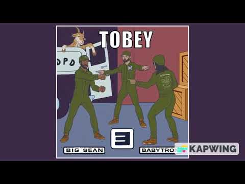 [1 Hour] Tobey - Eminem (feat. Big Sean & Babytron)