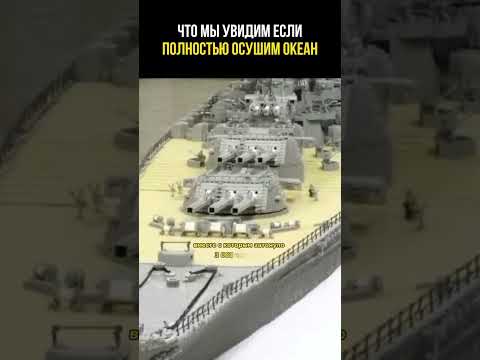 Что мы увидим на дне океана