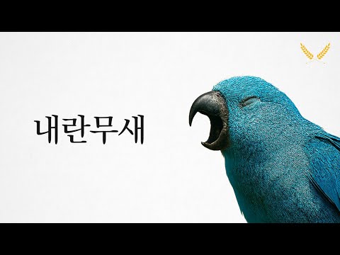 나라를 잡아먹었다