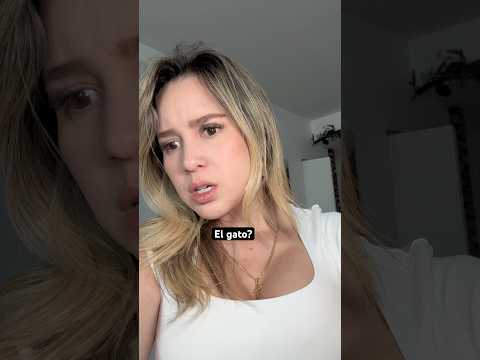 El gato no fue 🤣🤣🤫 #humor #comedy #comedia #funny