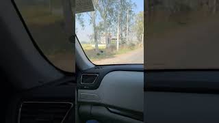 @MasoomSharma