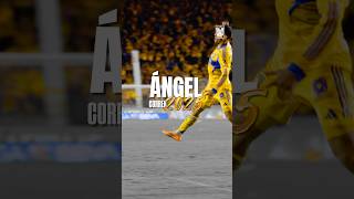 🐯🇦🇷 ¡Lo mejor de Ángel Correa en el 2025!
