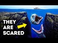 Exploring Unique Ecosystems and Challenges