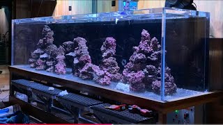 Rock choices & rock scaping