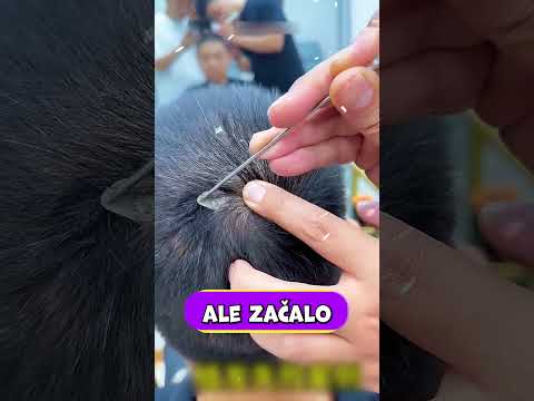 Holič objevil při stříhání vlasů něco děsivého! ✂️😬