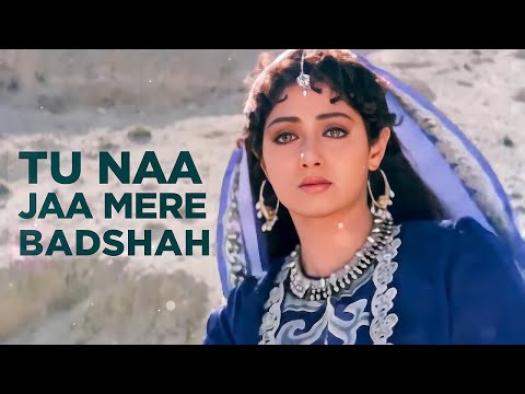 Tu Na Jaa Mere Baadshah - Khuda Gawah | Amitabh Bachchan & Sridevi | Alka & Mohammad | 90s Hits