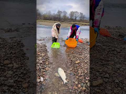 Qurbani Mubarak Special Fishing Part 45 #shorts #fishing #youtubeshorts
