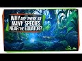 Understanding Latitudinal Diversity Gradient