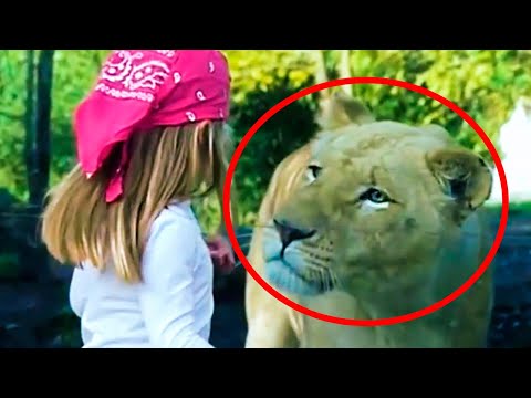 VIDEOS de ANIMALES más INCREÍBLES y JAMÁS antes VISTOS - Parte 3