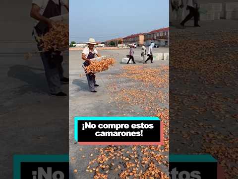 No compre estos camarones! #youtube #funny #delicious