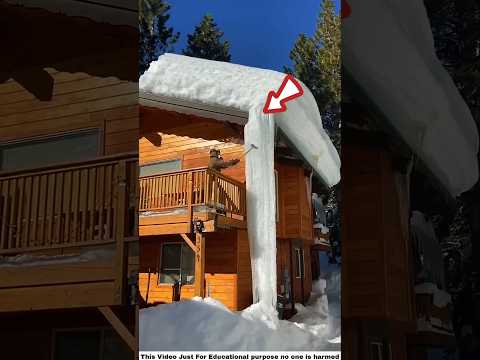 Snow-Covered Backyard #shortsvideo