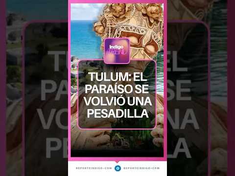 ¿Por qué los mexicanos ya no quiere ir a Tulum? | Reporte Indigo