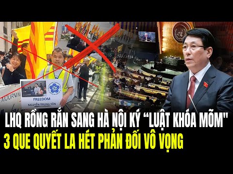 Cú “Lật Mặt” Phương Tây: Từng Chỉ Trích VN, Nay Lại Sang Học Luật Khóa Mõm | Lịch Sử Quân Sự