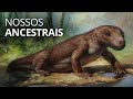 Conceitos de Biologia e Evolução