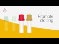 Blood Collection Tube Procedures