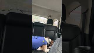 Typical Karmelo Anthony Supporter #news #crime #police #tiktok #tiktokviral #instagram #usa