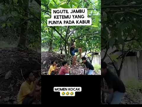 momen kocak #lucu #funny