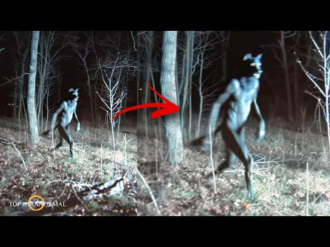 5 Videos de TERROR REAL que Desafían Toda Lógica /Fantasmas y Criaturas Captados en Cámara Parte 19