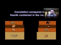 Index Fossils and Rock Layer Correlation