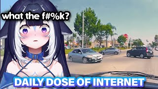 WHAT ARE THEY DOING?! 😡 | Shylily Reacts to Daily Dose of Internet
