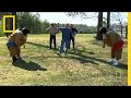 Sumo Championship Strategy and Rules