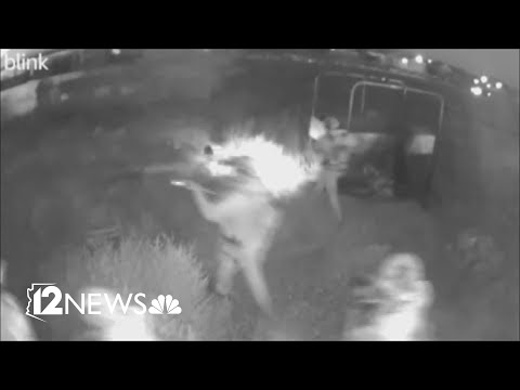 YouTube video thumbnail: Guns Taken Away, Then Returned, to Arizona Couple
