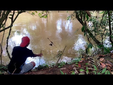 PANCING SAYA DI MAKAN MONSTER SUNGAI BESAR JORAN SAMPAI TERBANG NGAK KETULUNGAN