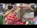 Understanding Industrial and Sustainable Agriculture