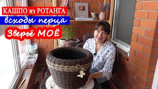 видео