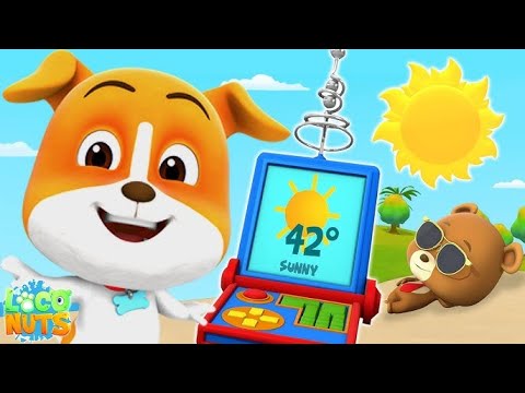 🎶 Loco Nuts Türkçe - Eğlenceli Çocuk Şarkısı! 🐿️✨ | Eğitici ve Hareketli Şarkılar