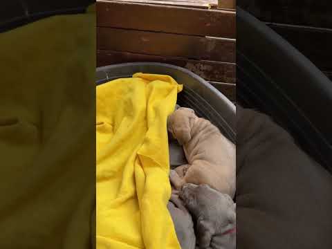 Mis niños tienen frÃo