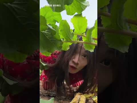 funny village life #villagelife #funny #funnyvideo #shorts