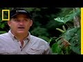 Dangerous Encounters with Pythons