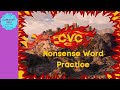Nonsense Word Fluency Challenge with Dragon Style