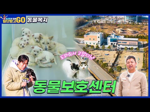 [일단 받고 GO] 펫 프렌들리! 동물보호센터🐶