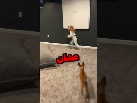 الهدايا بتنسيك الهموم 😂